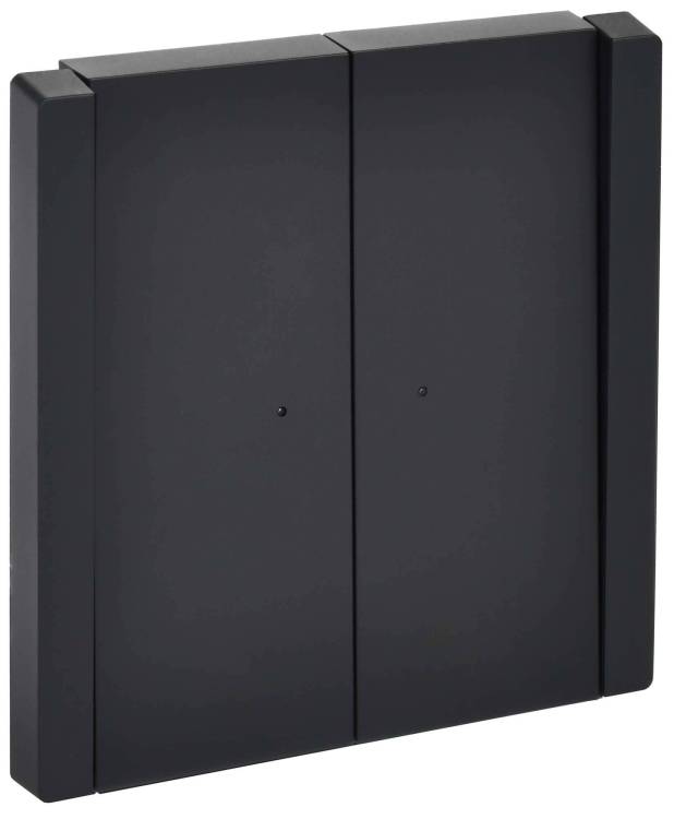 Выключатель 2-клавишный проходной IEK Forte&Piano FP-V22-1-10-1-K02 черный