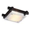 Потолочный светильник Arte Lamp 94 A6462PL-2CK фото 4