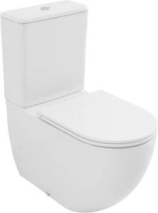 Чаша унитаза Allen Brau Priority 3 4.31006.20 безободковый, без сиденья, белый