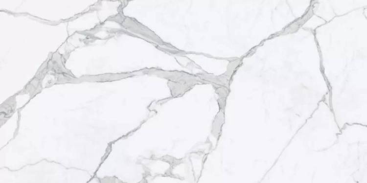 Керамогранит Tagina Ceramiche Statuario 106041 Nat Ret 60x120