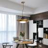 Подвесной светодиодный светильник Imperium Loft Rask 151756-26 фото 8