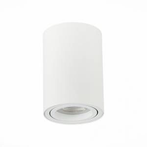 Потолочный светильник ST Luce Torus ST108.507.01