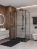 Душевой уголок Cezares LUX-AH-FS-11-110/100-C-GM профиль оружейная сталь, стекло прозрачное, 110x100x195 фото 2
