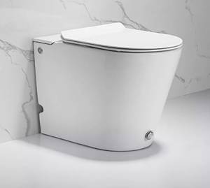 Унитаз приставной Cerutti Spa Argentera Pulse 7267 безободковый, с микролифтом, импульсный смыв
