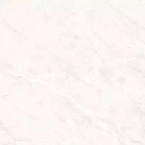 Керамогранит Primavera TP66M17 Пантир матовый 60x60
