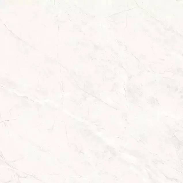 Керамогранит Primavera TP66M17 Пантир матовый 60x60