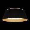 Потолочный светильник Loft IT Evans 10224 Black фото 3