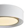 Потолочный светильник Freya Cozy FR6170CL-L52BS фото 4