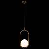 Подвесной светильник Loft IT Glob LOFT2595-A фото 9