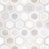 Керамогранит Alma Ceramica Evolution GFU04EVL47R 60x60 фото 3