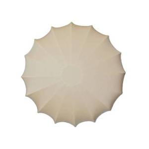Настенно-потолочный светильник TopDecor Muse AP4 10 09s