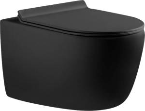 Унитаз подвесной Aquanet Cetus 287008 безободковый, с микролифтом, черный матовый