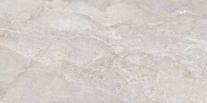 Керамогранит Art Ceramic Stonico Oyster Grey Glossy 60x120