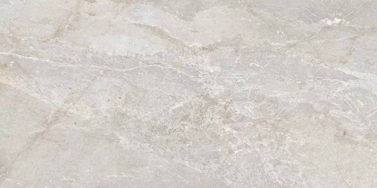 Керамогранит Art Ceramic Stonico Oyster Grey Glossy 60x120