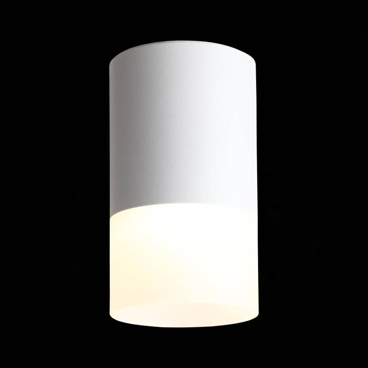 Светильник потолочный St Luce ST100.502.05