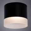 Потолочный светильник Arte Lamp Castor A5554PL-1BK фото 2