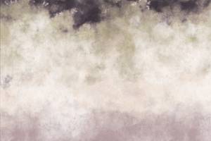 Фреска Ortograf Pastel 35169 Всплеск красок Флорентина FF
