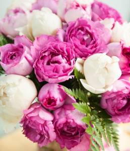 3D Фотообои Artegrafico «Букет из пионов» PN005 песок