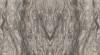 Керамогранит Zodiac Ceramica Frappuccino MN319CY271206 Matt 6mm 120x270