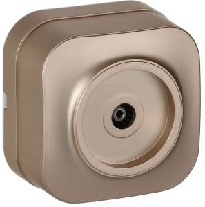 ТВ-розетка IEK Glory EAH10-K37M шампань матовый