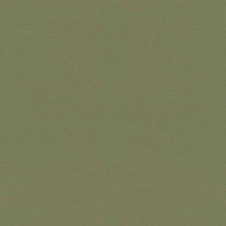 Обои Rasch Natural Colors 687538