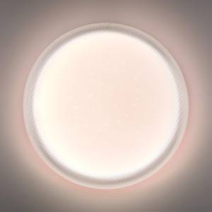 Настенно потолочный светильник Sonex Jolly 7775/ELN