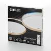 Светильник с пультом Citilux Etalon CL750401R LED RGB фото 9