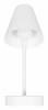 Настенный светильник Loft IT Shelf 10216/1W White