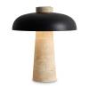 Настольный светильник Freya Sunspot FR5482TL-L7B