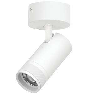 Накладной светодиодный спот Lightstar Canno Pro C4306SO
