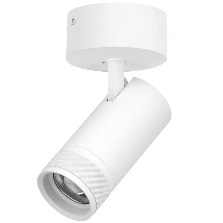Накладной светодиодный спот Lightstar Canno Pro C4306SO