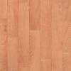 Линолеум Tarkett Omnisports Reference (Омниспортс Референс) Oak Classic (Дуб Классический) (рулон: 2x20.5=41 м2)