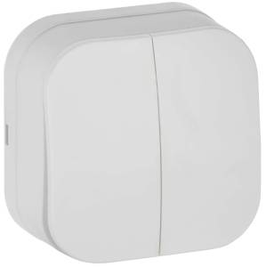 Выключатель 2-клавишный IEK Glory EVH20-K01M-10 белый матовый