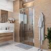Душевая дверь в нишу Grossman Falcon GR-D110Fa 110x190 фото 2