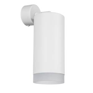 Настенно-потолочные светильники Lightstar Rullo RB648680