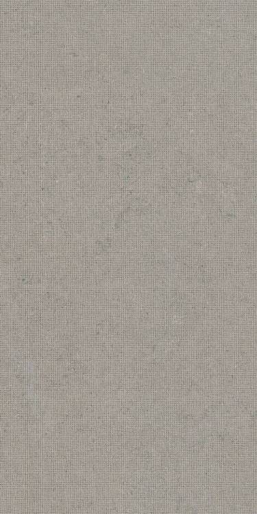 Керамогранит TAU Ceramica Calcare Dc Greige 60x120