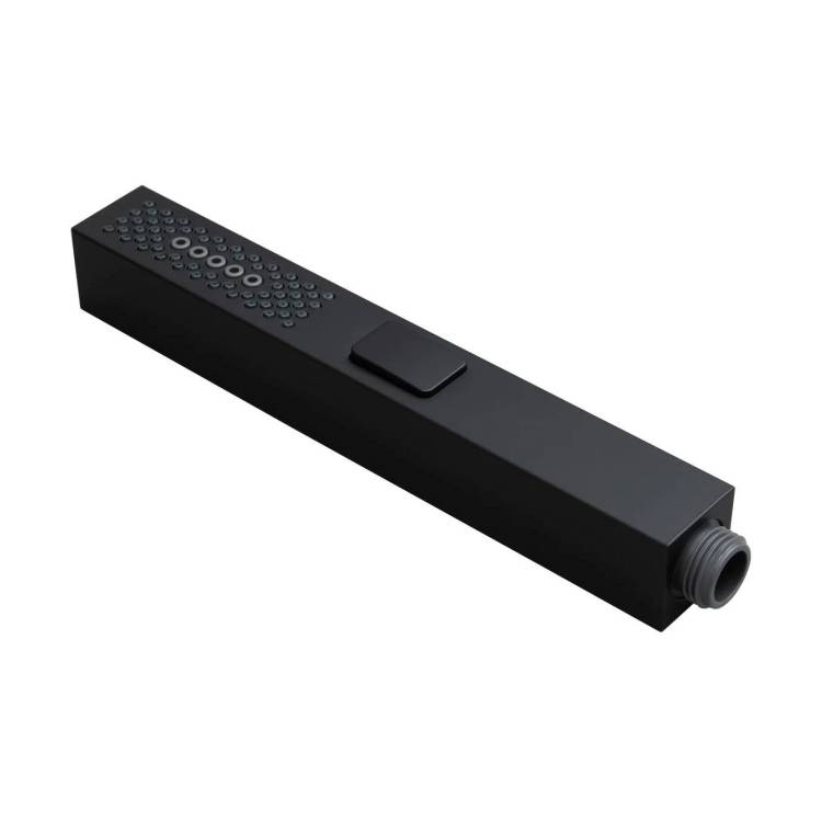 Лейка для душа Allen Brau Infinity 5.21A22-31 черная матовая