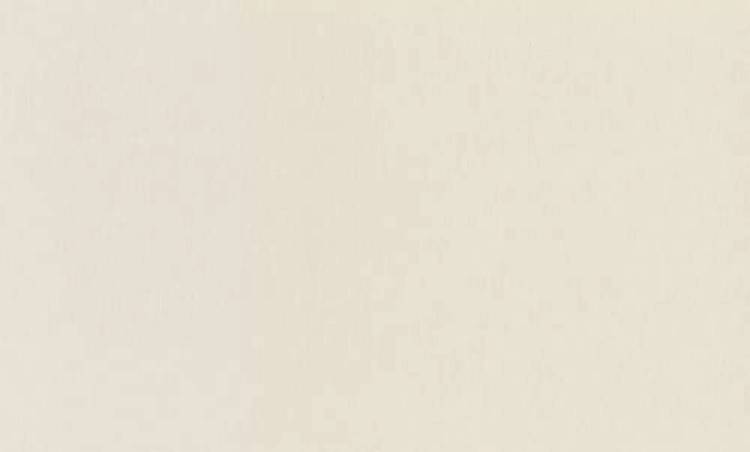 Обои Rasch Wall Textures Xl III 979343