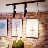 Потолочный светодиодный светильник Arte Lamp Vela A2511PL-1BK фото 4