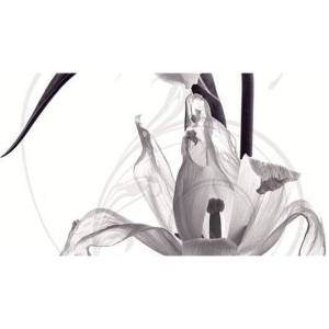 Панно Ceradim Pulsar КПН16PulsarA Dec Panno A 25x45