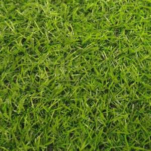 Искусственная трава Betap Irene 18 (рулон: 25x4м=100м2)