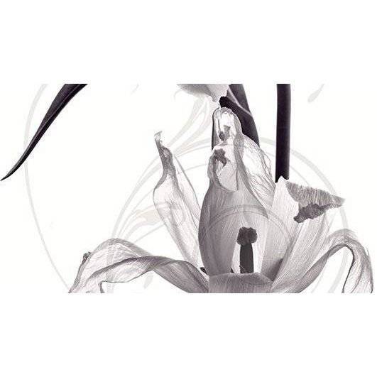 Панно Ceradim Pulsar КПН16PulsarA Dec Panno A 25x45