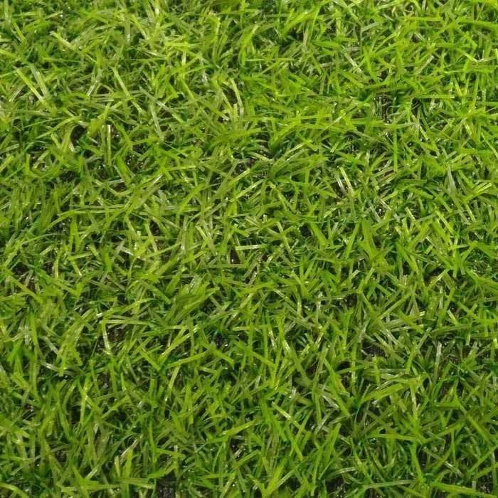 Искусственная трава Betap Irene 18 (рулон: 25x4м=100м2)