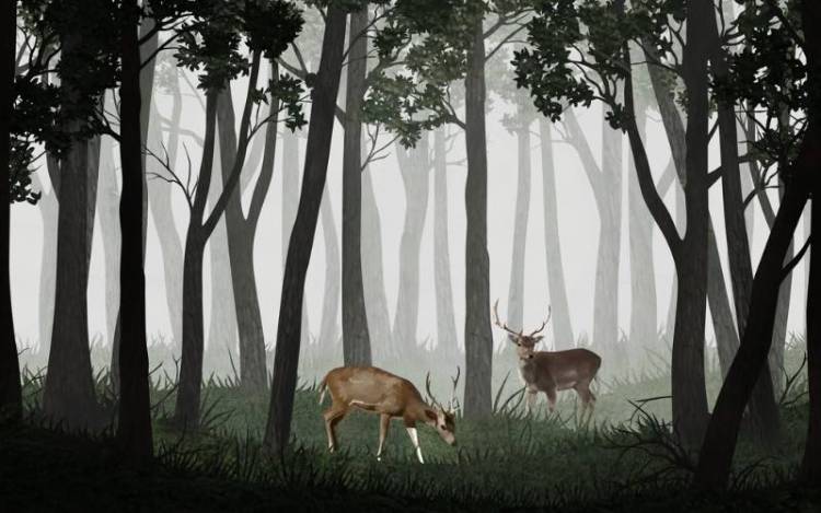 3D Фотообои Artegrafico «Олени в тёмном лесу» VG-015 акварель