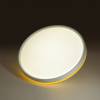 Настенно-потолочный светодиодный светильник Sonex Kezo Yellow 7709/ELN фото 6
