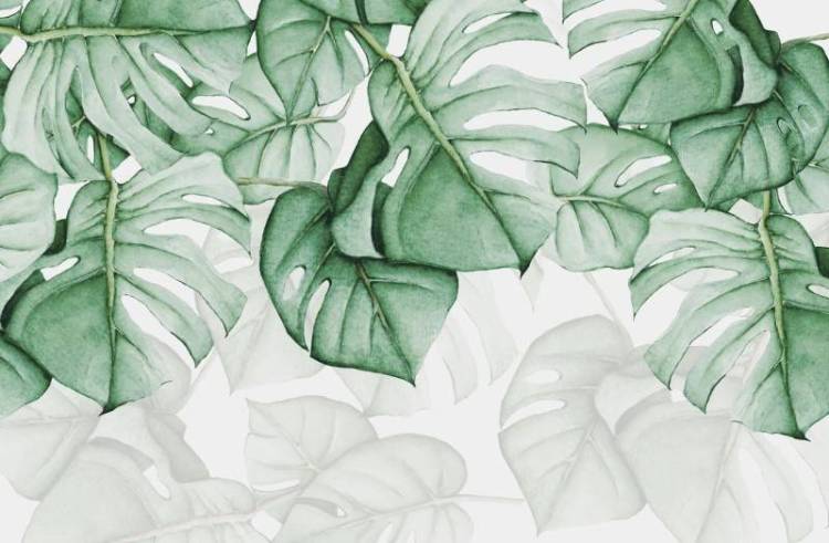 3D Фотообои Artegrafico «Ниспадающие монстеры» TP-041 песок