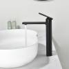 Смеситель для раковины Black&White GF-7203-MB черный матовый фото 9