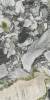 Керамогранит Ariostea Marmi Classici PL612675 Luxury white Luc Shiny 60x120 фото 6