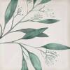 Декор Eletto Ceramica Mate Decor Greens 15x15 фото 2