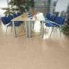 Линолеум Profi Strong Plus Scala 3275 (рулон: 2x27=54 м2) фото 2